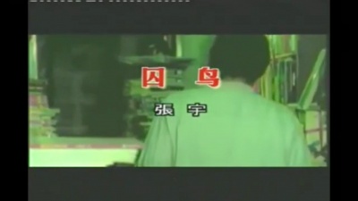 阳毛 - 囚鸟
