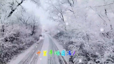 王肖 - 中森明菜《十里平湖》完整版