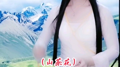 西北风 - （山茶花）（纯音乐合奏曲）