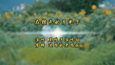 迷路的老路痴 - 在银色的月光下
