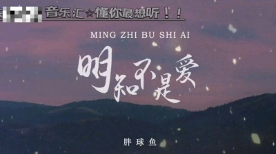 音乐汇-76594726 - 明知不是爱-胖球鱼