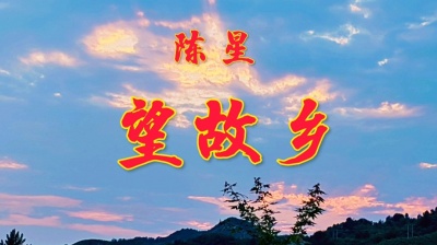 红枫 - 《望故乡》异地遥相望，今朝返故乡。香诗吟热土，恋曲赋爹娘。