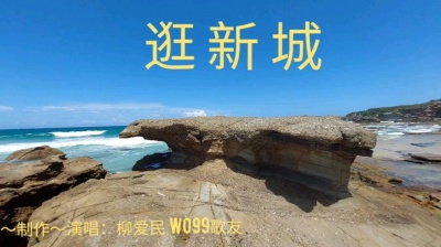 柳爱民 - 逛新城
