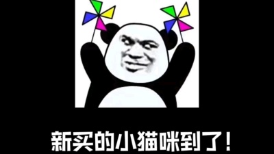 GAEUL - 小猫咪