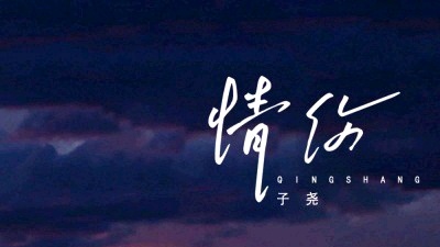 尧籽o - 子尧-《情伤》