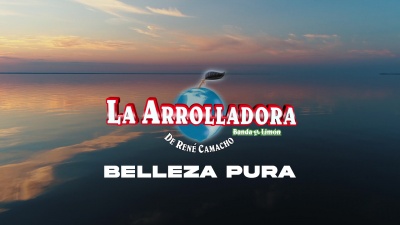 La Arrolladora Banda El Limón De Rene Camacho - Belleza Pura