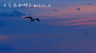 芯仔仔 - 岑岑的飞鸟和蝉