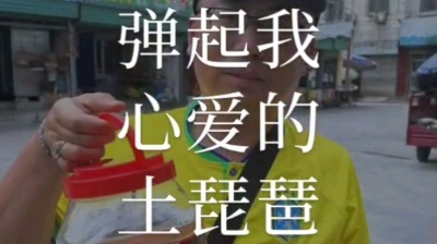 姬中华 - 姬中华翻唱歌曲——弹起我心爱的土琵琶