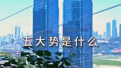 522hang - TF家族三代