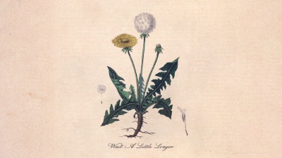 Snoh Aalegra - Wait A Little Longer