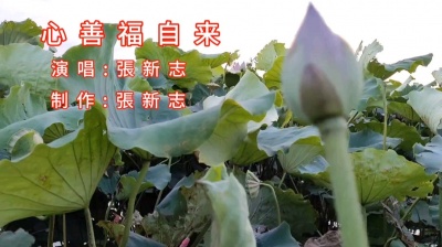 张新志 - 心善福自来_演唱_張新志