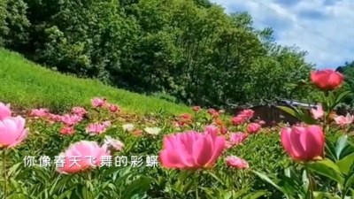 乐韵飞扬 - 《卓玛》-山泉音月