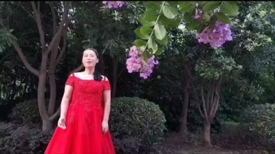 刘文娟 - 《永远的初心》MV短视频