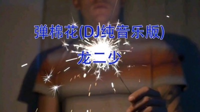 龙二少 - 弹棉花(DJ纯音乐版)