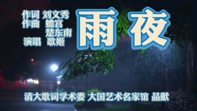 刘文秀13092637439 - 雨夜