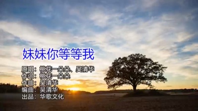 桃花一朵朵 - 《妹妹你等等我》特别好听的情歌对唱，火爆上线。