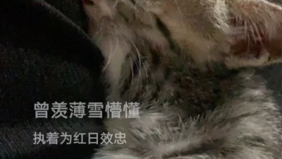 狙击 - 1