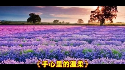 萧民制作 - 手心里的温柔》李添兵电子琴音乐版