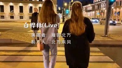 北方来风 - 白桦林