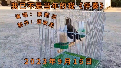 张新志 - 我已不是当年的我《伴奏》制作_張新志