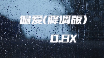 豆豆果 - 陈成功《偏爱(0.8降调版)》饭制