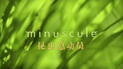 懒喵 - 昆虫总动员1