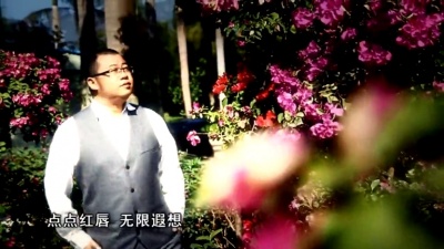 姬长乐 - 你是我心中最美的花儿