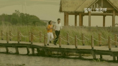 阿香 - 把心交给你