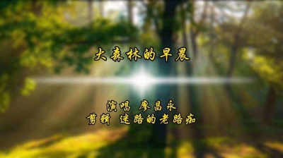 迷路的老路痴 - 大森林的早晨