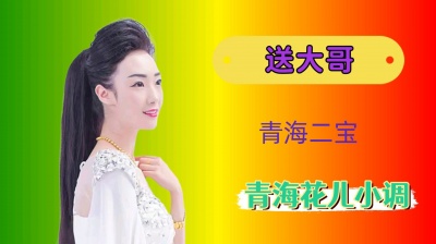 小李DJ音乐 - 送大哥 青海花儿小调