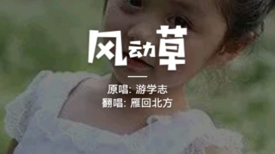 北方来风 - 风动草