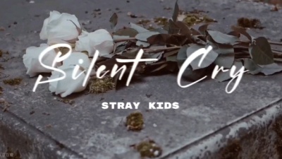 安尼哟- - 【Stray Kids】Silent Cry