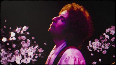 Bob Dylan - I Want You