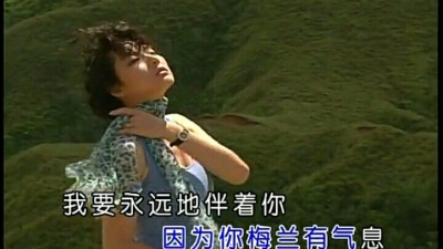 贾梦飞 - 梅兰梅兰我爱你