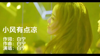 白宁 - 白宁-小风有点凉