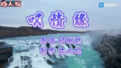 如风 - 叹情缘~杨树林