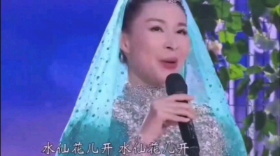 幽中竹 - 经典老歌《花儿与少年》，演唱 曹芙嘉，现场版，风情篇。