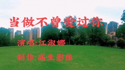 冰城浪子 - 当做不曾爱过你/江淑娜