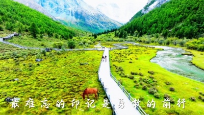 降央卓玛 - 爱上亚丁