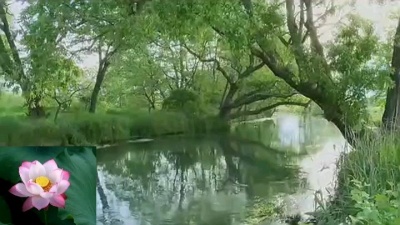 感恩一朵莲 - 印良法师《忏悔文》
