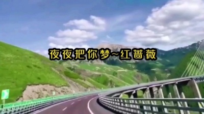 香山音画 - 新歌推荐：红蔷薇《夜夜把你梦》