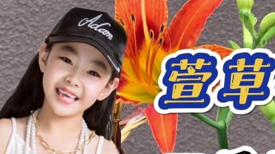 豆豆果 - 田觅蜜《萱草花》童声版