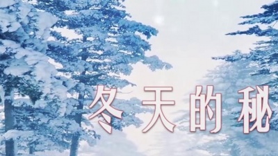 希纯音乐 - 【音乐】张茜《冬天的秘密》