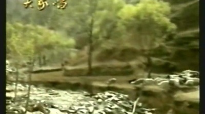 李娜 - 信天游