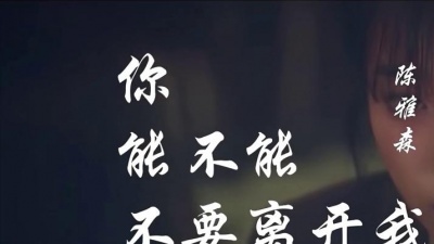 风中劲草 - 陈雅森《你能不能不要离开我》KTV版.无损音频