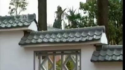 蔡国庆 - 天上太阳红彤彤
