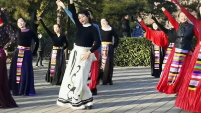 广场舞 - 清心冰冰玲玲孙敏领舞《北京的金山上》美不胜收！