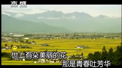 谭晶 - 绒花