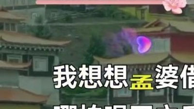 爆爆公子 - 华子、小钢炮《向孟婆借一碗汤》饭制版