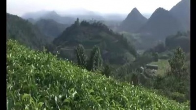 赵小南 - 宝贝你最美